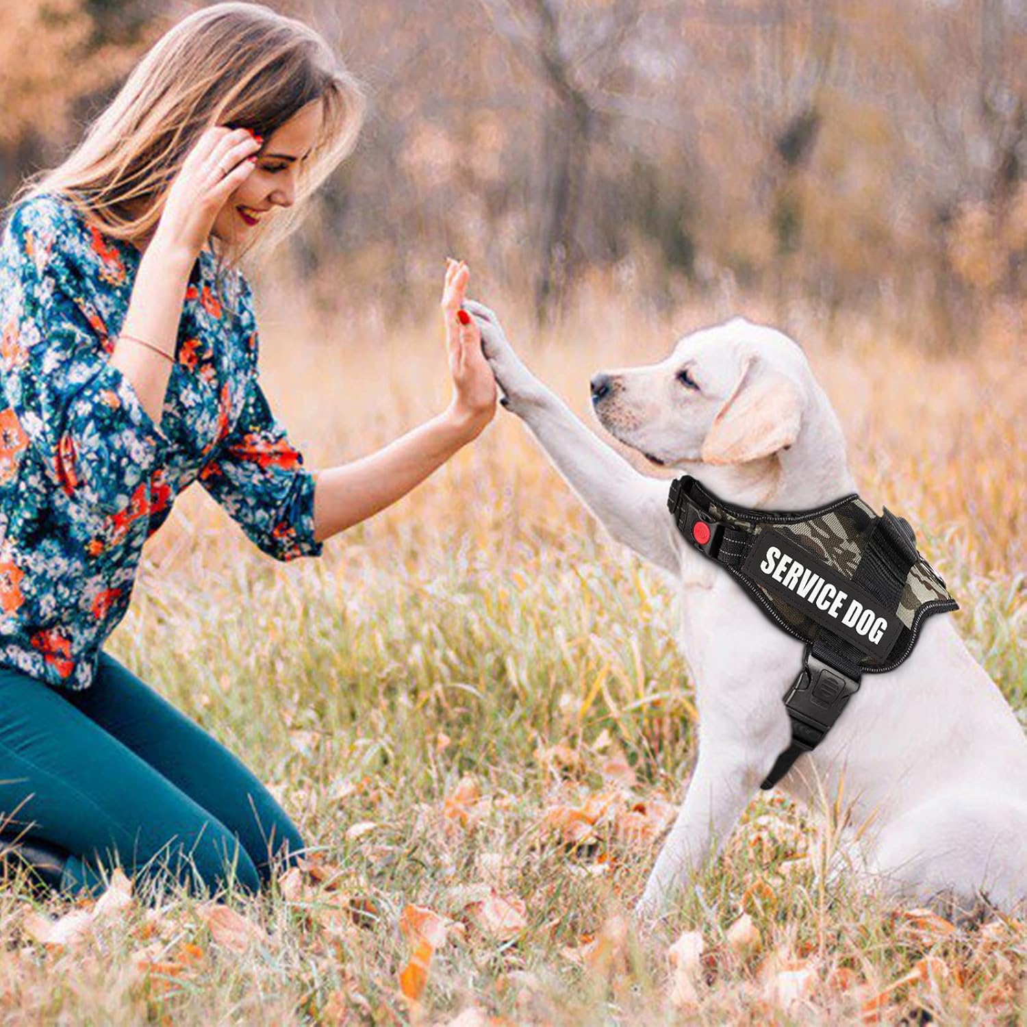 Adjustable No-Pull Dog Harness - Breathable Soft Nylon Vest for Small, Medium, and Large Dogs