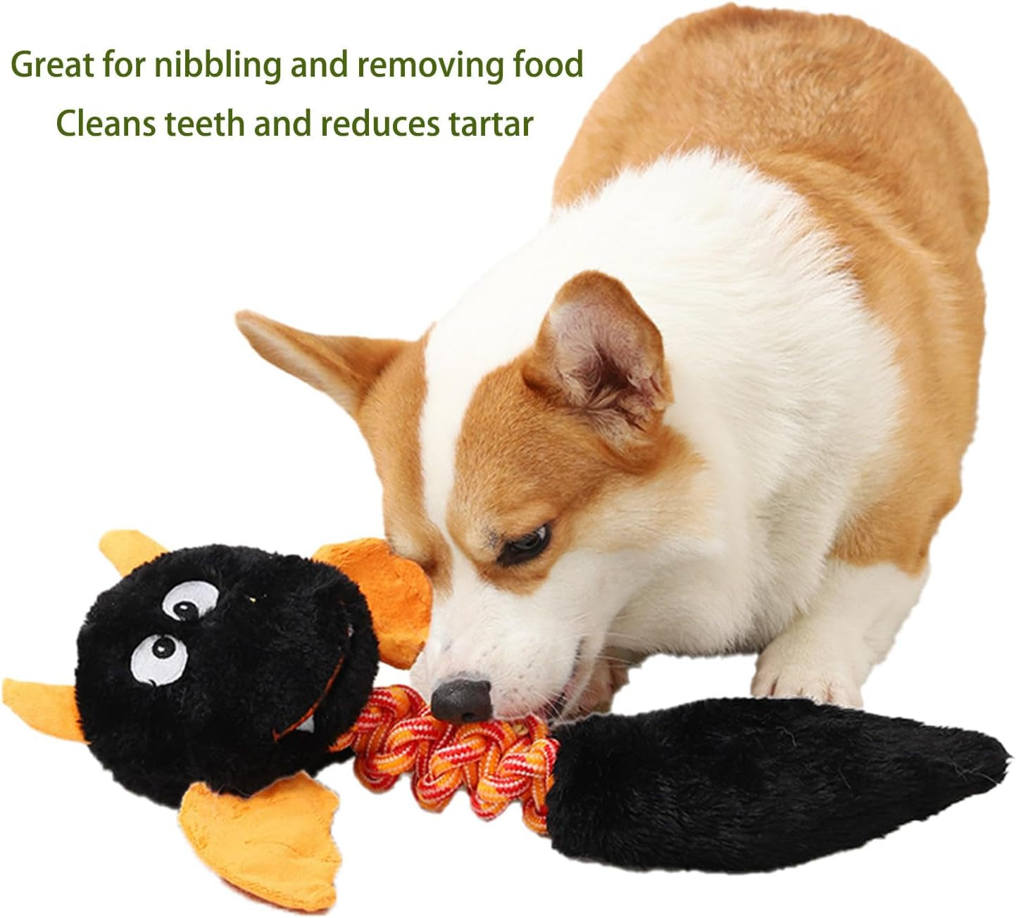 Plush squeaky Dog Toys for Large or Small Dogs
