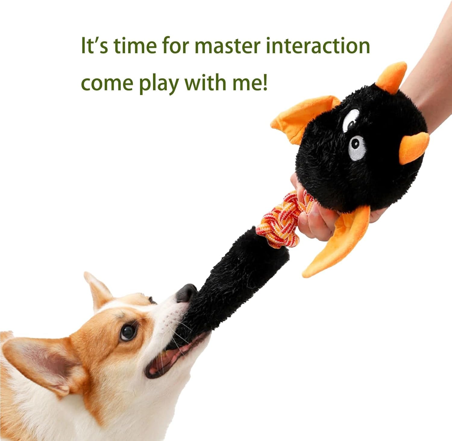 Plush squeaky Dog Toys for Large or Small Dogs
