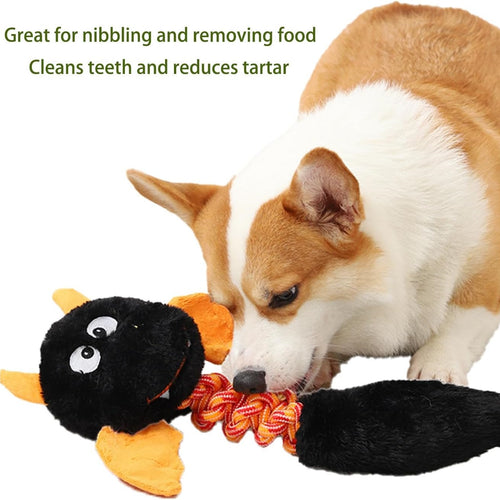 Plush squeaky Dog Toys for Large or Small Dogs